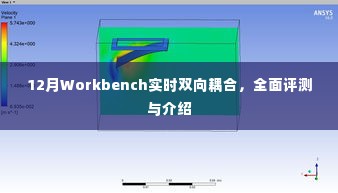 12月Workbench实时双向耦合,全面解读与评测