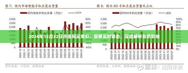 2024年市场风云变幻深度解析,实时动态与背后影响洞察