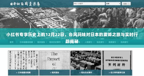 小红书专享,台风玛娃震撼日本之旅回顾与实时行踪揭秘(12月22日)