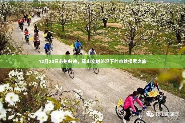 苏州归途与砀山实时路况下的自然探索之旅