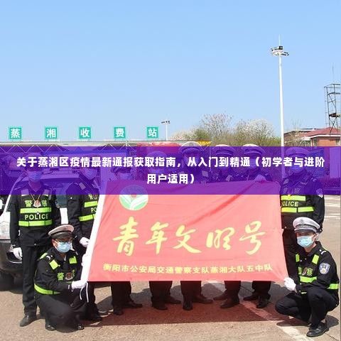 蒸湘区疫情最新通报获取指南,从入门到精通(适用于初学者与进阶用户)