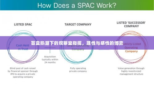 盲盒热潮下的观察室指挥,理性与感性的博弈之道