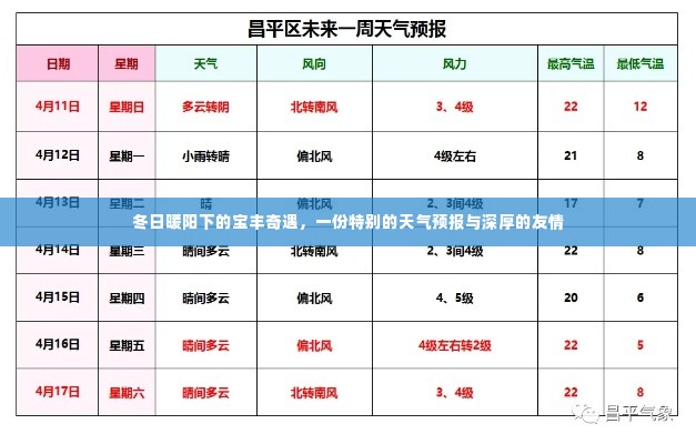 冬日暖阳下的宝丰奇遇,天气与友情的交织乐章