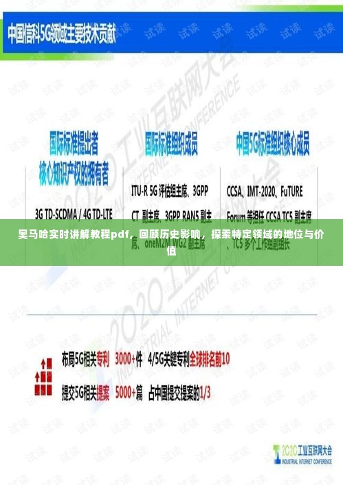 奥马哈实时讲解教程回顾与特定领域价值探索,历史影响与现状分析PDF指南