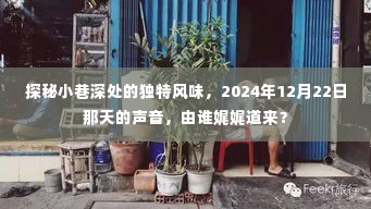 探秘小巷深处的独特风味,2024年12月22日的声音回忆者