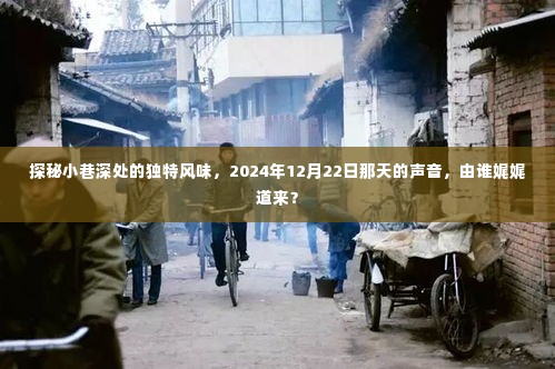 探秘小巷深处的独特风味,2024年12月22日的声音回忆者