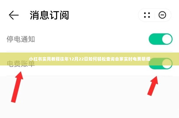 小红书实用教程,轻松查询往年电费明细,掌握自家实时电费信息