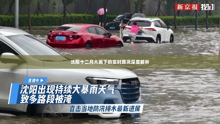 沈阳十二月雨情深度解析,实时路况报告