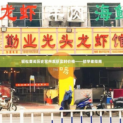 初学者指南,轻松查询常州龙虾实时历史价格