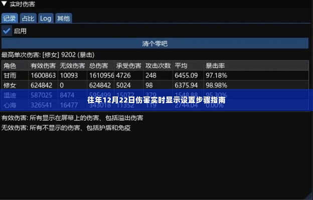 往年12月22日伤害实时显示设置指南,详细步骤解析
