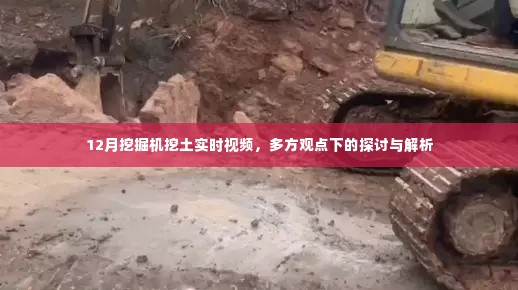 踊贵屦贱 第4页