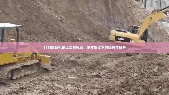 12月挖掘机挖土实时视频,多方观点深度探讨与解析