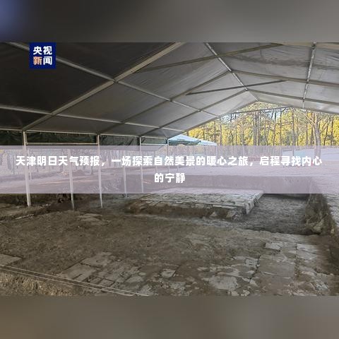 虫蚀鸟步 第4页