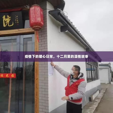 疫情下的暖心日常,十二月温情故事集