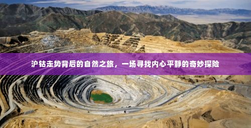 沪钴走势探寻之旅,心灵平静与自然的奇妙交融