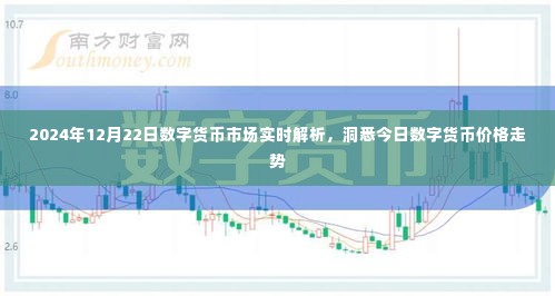 2024年12月22日数字货币市场深度解析,价格走势一览