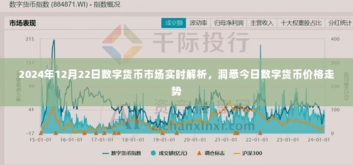 2024年12月22日数字货币市场深度解析,价格走势一览