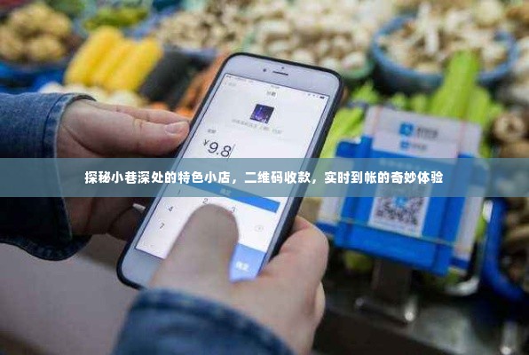 探秘小巷深处特色小店,二维码收款实时到账的奇妙之旅