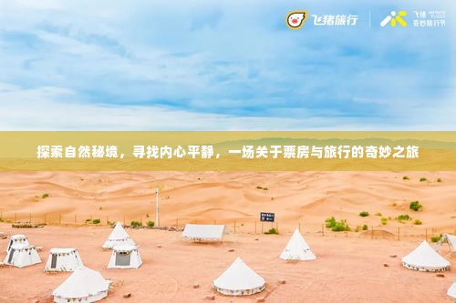 自然秘境探寻之旅,心灵宁静与票房的奇妙交汇点