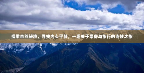 自然秘境探寻之旅,心灵宁静与票房的奇妙交汇点