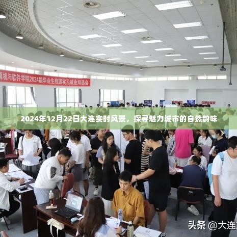 橘虞初梦 第4页