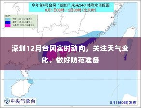 深圳12月台风最新动态及防范准备须知