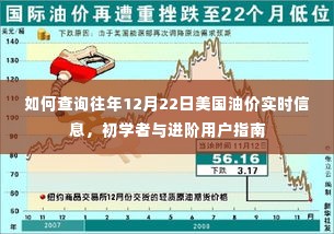 如何查询往年12月22日美国油价实时信息,初学者与进阶用户指南详解