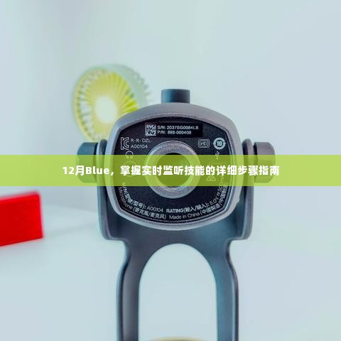 掌握实时监听技能的详细步骤指南,12月Blue教程