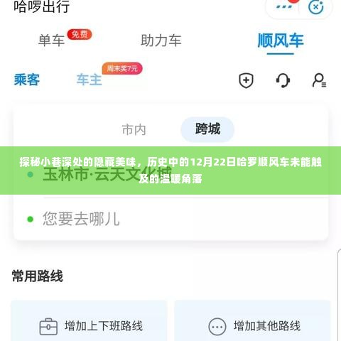 小巷深处的隐藏美味与哈罗顺风车未能触及的温暖角落,历史中的12月22日探秘
