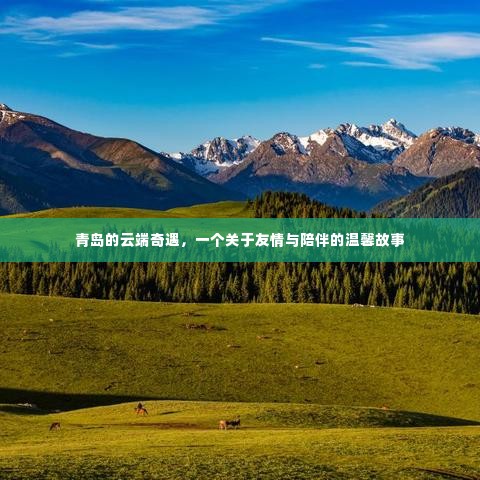 青岛云端奇遇,友情与陪伴的温馨篇章