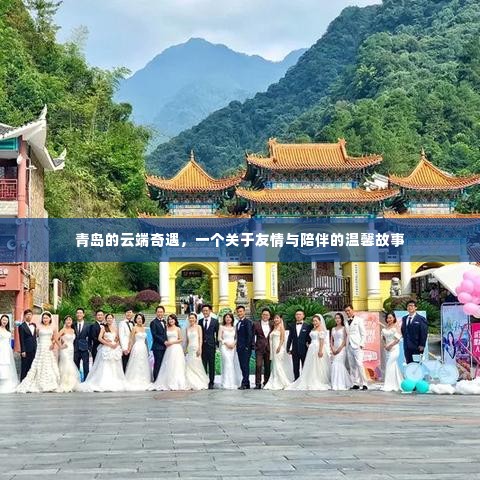 青岛云端奇遇,友情与陪伴的温馨篇章