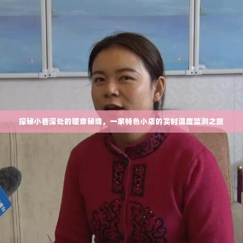 探秘小巷深处的暖意秘境,实时监测特色小店的独特风情与温度
