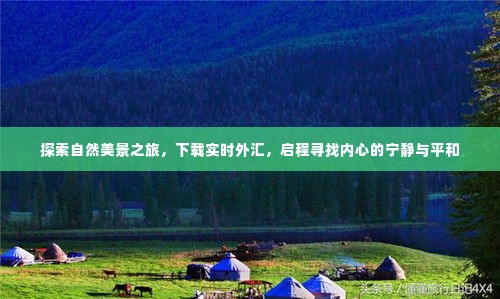 自然探索与外汇实时下载,寻找内心的宁静与平和之旅