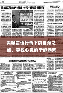 美锦发债行情下的自然之旅,心灵港湾探寻记