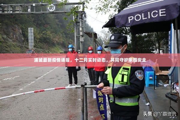 浦城最新疫情通报,十二月实时动态守护家园安全