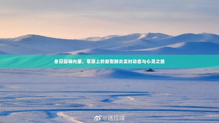 冬日内蒙探秘之旅,草原上的新型肺炎实时动态与心灵体验