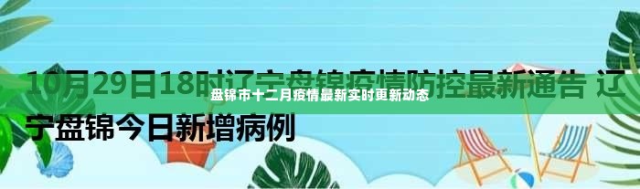 盘锦市十二月疫情实时更新动态通报