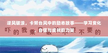 卡努台风中的励志故事,逆风破浪,学习变化与自信成就的力量