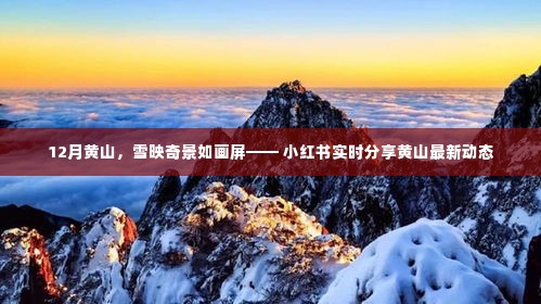 12月黄山雪映奇景,小红书实时更新,美景如画屏展示