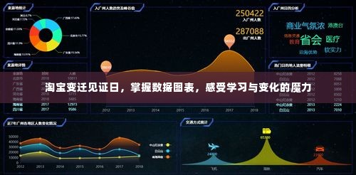 淘宝变迁见证日,数据图表揭示学习与变化的魔力