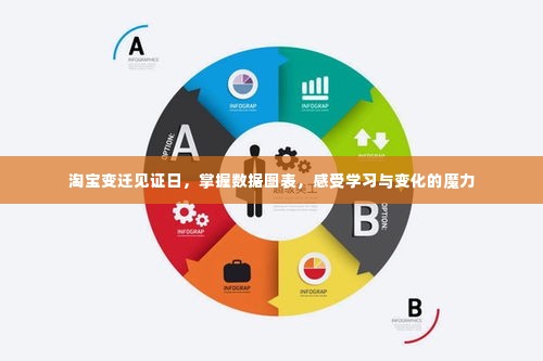 淘宝变迁见证日,数据图表揭示学习与变化的魔力