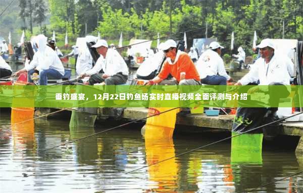 垂钓盛宴,全面评测与介绍钓鱼场实时直播视频