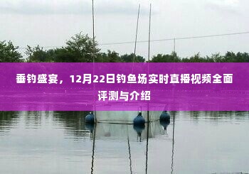 垂钓盛宴,全面评测与介绍钓鱼场实时直播视频