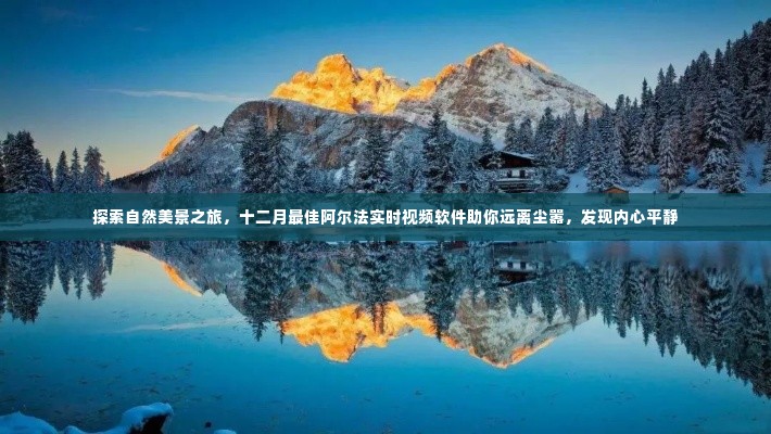 探索自然美景之旅,阿尔法实时视频软件带你远离尘嚣,发现内心平静的最佳十二月体验