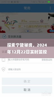 启程宁陵秘境,寻找内心的桃花源——实时监控回放记录,2024年12月22日探索之旅