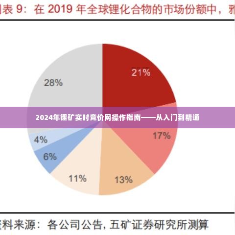 2024年锂矿实时竞价网全方位操作指南,入门到精通