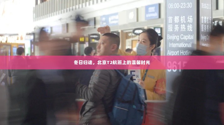 冬日归途,北京T2航班上的温馨之旅