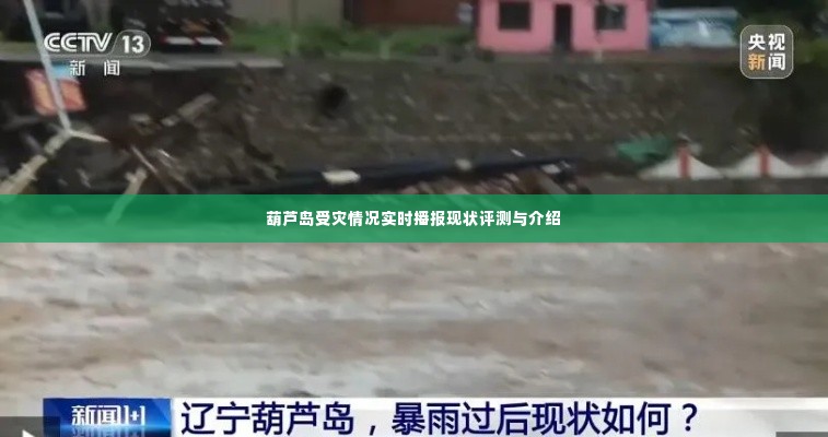葫芦岛受灾情况实时播报,现状评测与详细介绍