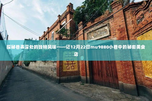 探秘巷弄深处的秘密美食店,mu9880小巷美食之旅(12月22日)