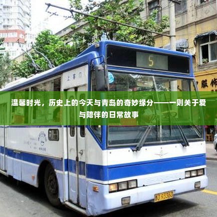 温馨时光,青岛的奇妙缘分与历史上的今日——爱与陪伴的日常故事